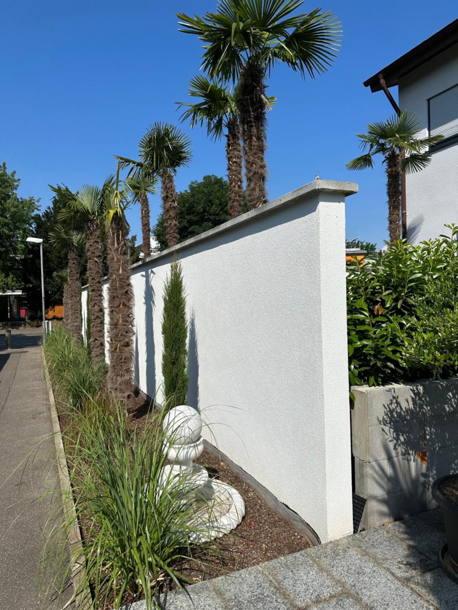 Appartment Moltke Herbolzheim Exterior photo